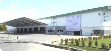 New Line 5 Gallon Keboncandi